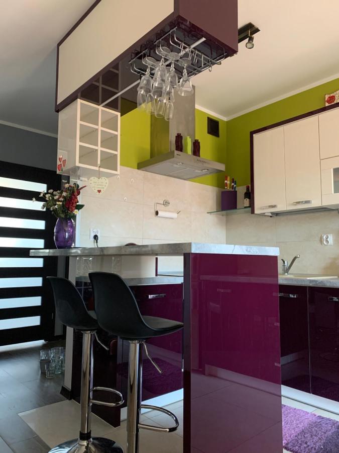 Silver Mazury Apartament Гижицко Экстерьер фото