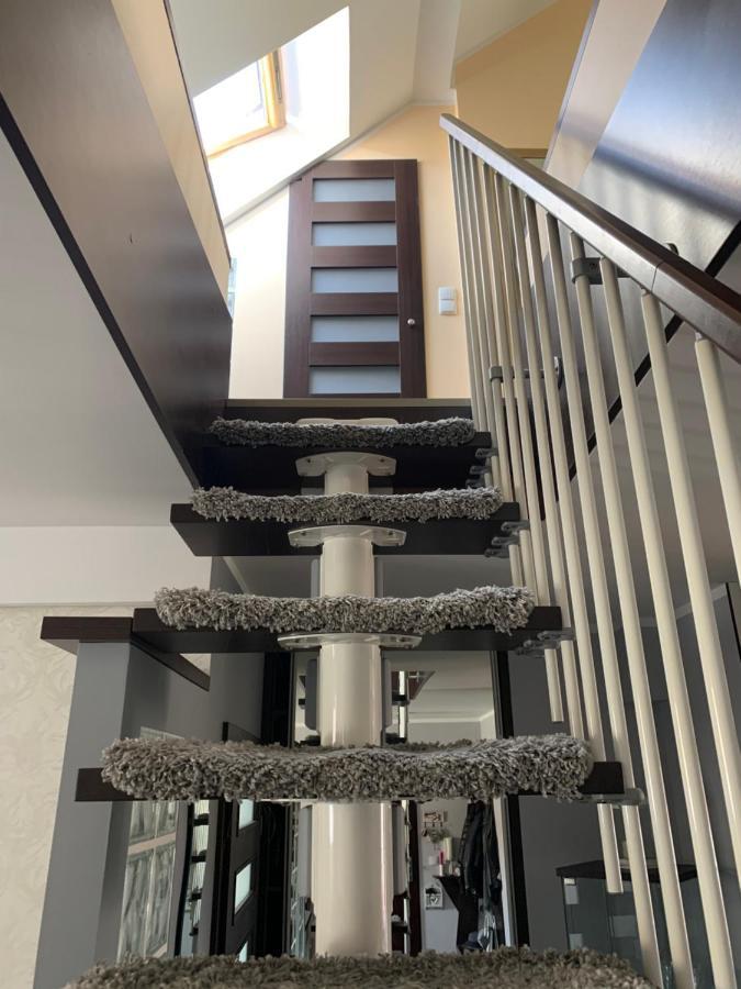 Silver Mazury Apartament Гижицко Экстерьер фото